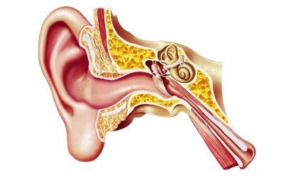 How To Rebalance Your Inner Ear?